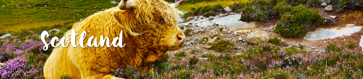 scotland_header.png scotland_header.png